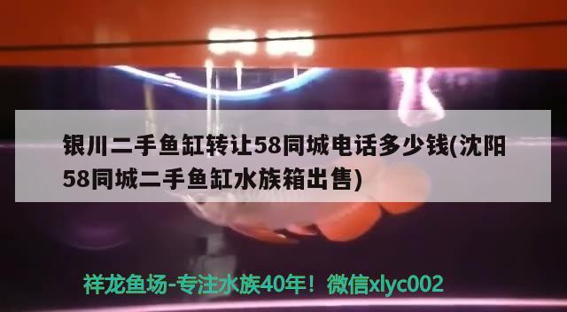 銀川二手魚缸轉(zhuǎn)讓58同城電話多少錢(沈陽58同城二手魚缸水族箱出售) 魚缸/水族箱