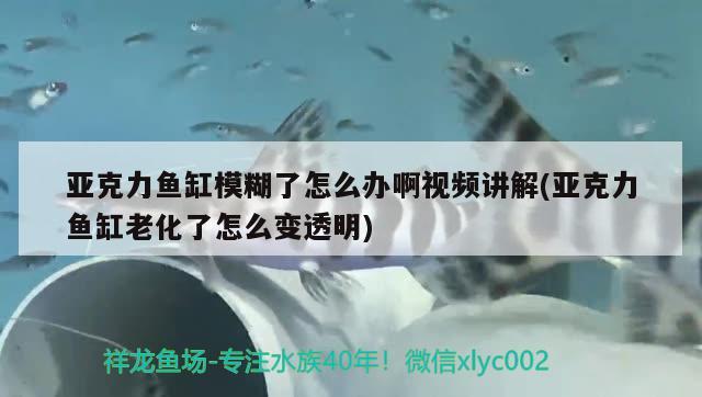 亞克力魚缸模糊了怎么辦啊視頻講解(亞克力魚缸老化了怎么變透明)