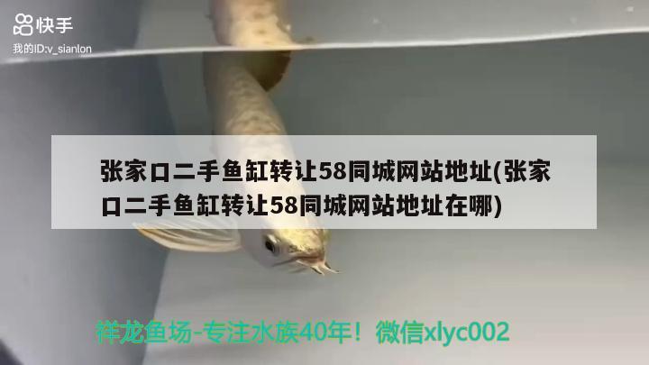 張家口二手魚缸轉讓58同城網站地址(張家口二手魚缸轉讓58同城網站地址在哪)