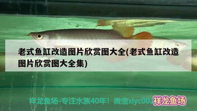 老式魚缸改造圖片欣賞圖大全(老式魚缸改造圖片欣賞圖大全集) 養(yǎng)魚知識