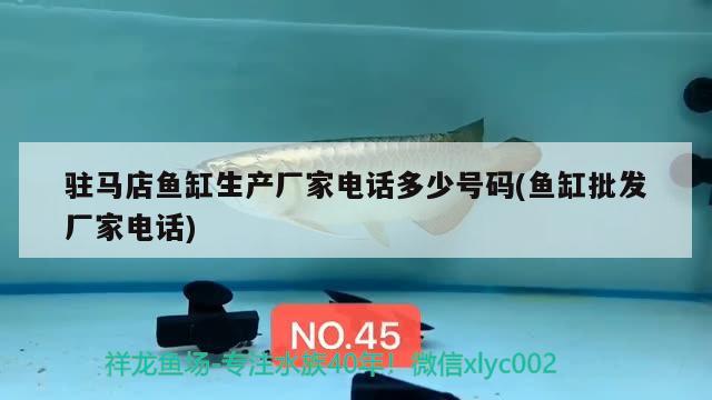 駐馬店魚缸生產廠家電話多少號碼(魚缸批發(fā)廠家電話) 純血皇冠黑白魟魚