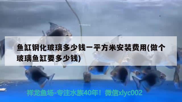 魚缸鋼化玻璃多少錢一平方米安裝費(fèi)用(做個(gè)玻璃魚缸要多少錢) 圖騰金龍魚