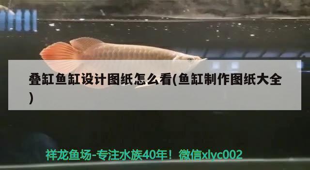 疊缸魚缸設(shè)計圖紙怎么看(魚缸制作圖紙大全)