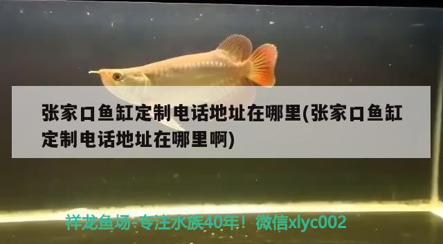 張家口魚缸定制電話地址在哪里(張家口魚缸定制電話地址在哪里啊) 名貴錦鯉魚