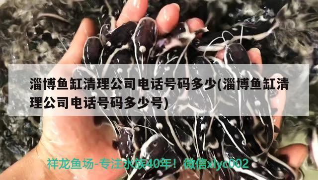 淄博魚缸清理公司電話號碼多少(淄博魚缸清理公司電話號碼多少號)