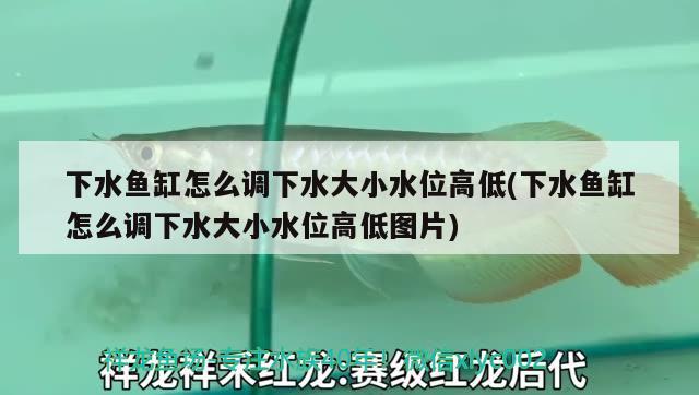 下水魚(yú)缸怎么調(diào)下水大小水位高低(下水魚(yú)缸怎么調(diào)下水大小水位高低圖片)