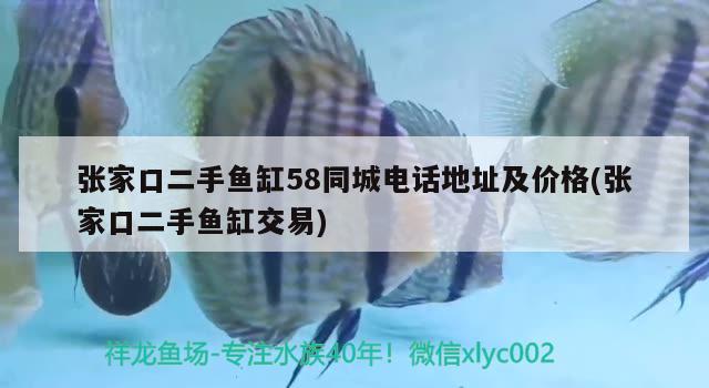 張家口二手魚缸58同城電話地址及價格(張家口二手魚缸交易) 黃金鴨嘴魚