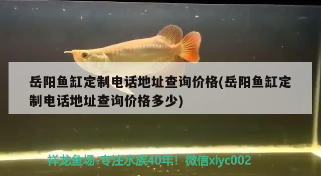 岳陽魚缸定制電話地址查詢價格(岳陽魚缸定制電話地址查詢價格多少)