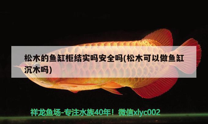 松木的魚(yú)缸柜結(jié)實(shí)嗎安全嗎(松木可以做魚(yú)缸沉木嗎) 雪龍魚(yú)