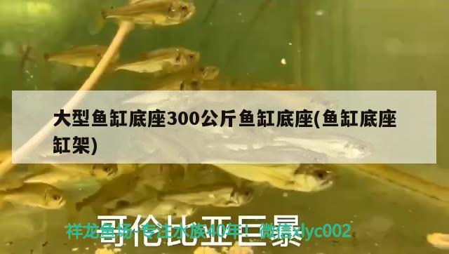 大型魚缸底座300公斤魚缸底座(魚缸底座缸架)