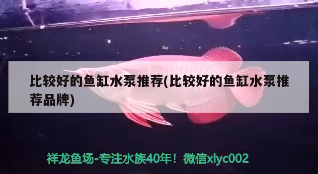 比較好的魚(yú)缸水泵推薦(比較好的魚(yú)缸水泵推薦品牌) 魚(yú)缸水泵