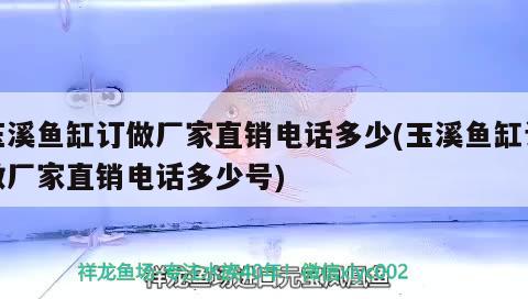 玉溪魚缸訂做廠家直銷電話多少(玉溪魚缸訂做廠家直銷電話多少號) 豬鼻龜