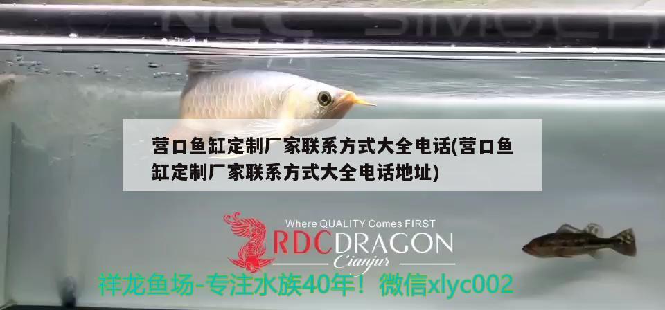 營口魚缸定制廠家聯(lián)系方式大全電話(營口魚缸定制廠家聯(lián)系方式大全電話地址) 白子關(guān)刀魚