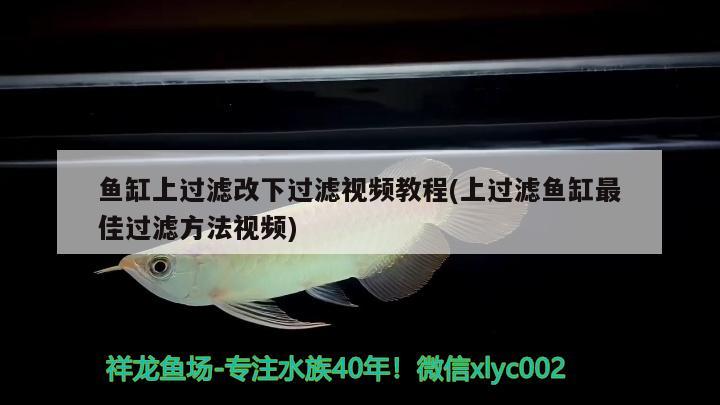 魚缸上過濾改下過濾視頻教程(上過濾魚缸最佳過濾方法視頻) 水溫計 第1張