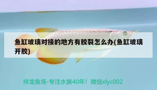 魚(yú)缸玻璃對(duì)接的地方有膠裂怎么辦(魚(yú)缸玻璃開(kāi)膠)