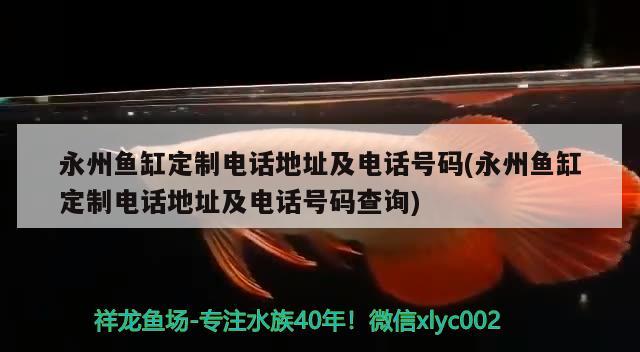 永州魚缸定制電話地址及電話號(hào)碼(永州魚缸定制電話地址及電話號(hào)碼查詢)