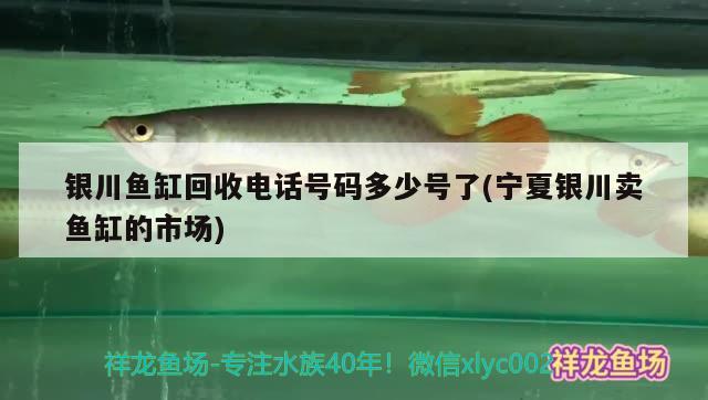 銀川魚(yú)缸回收電話號(hào)碼多少號(hào)了(寧夏銀川賣(mài)魚(yú)缸的市場(chǎng)) 硝化細(xì)菌