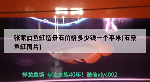 張家口魚缸造景石價(jià)格多少錢一個(gè)平米(石景魚缸圖片) 定時(shí)器/自控系統(tǒng)