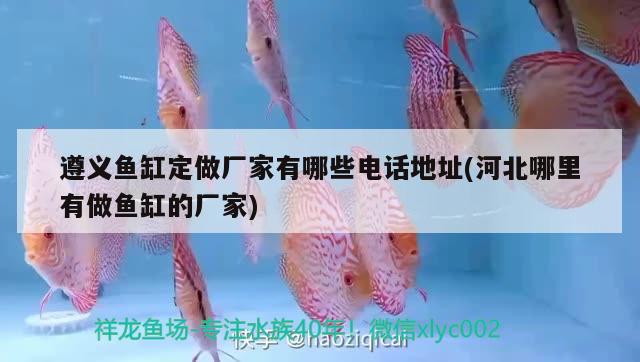 遵義魚缸定做廠家有哪些電話地址(河北哪里有做魚缸的廠家) 羅漢魚