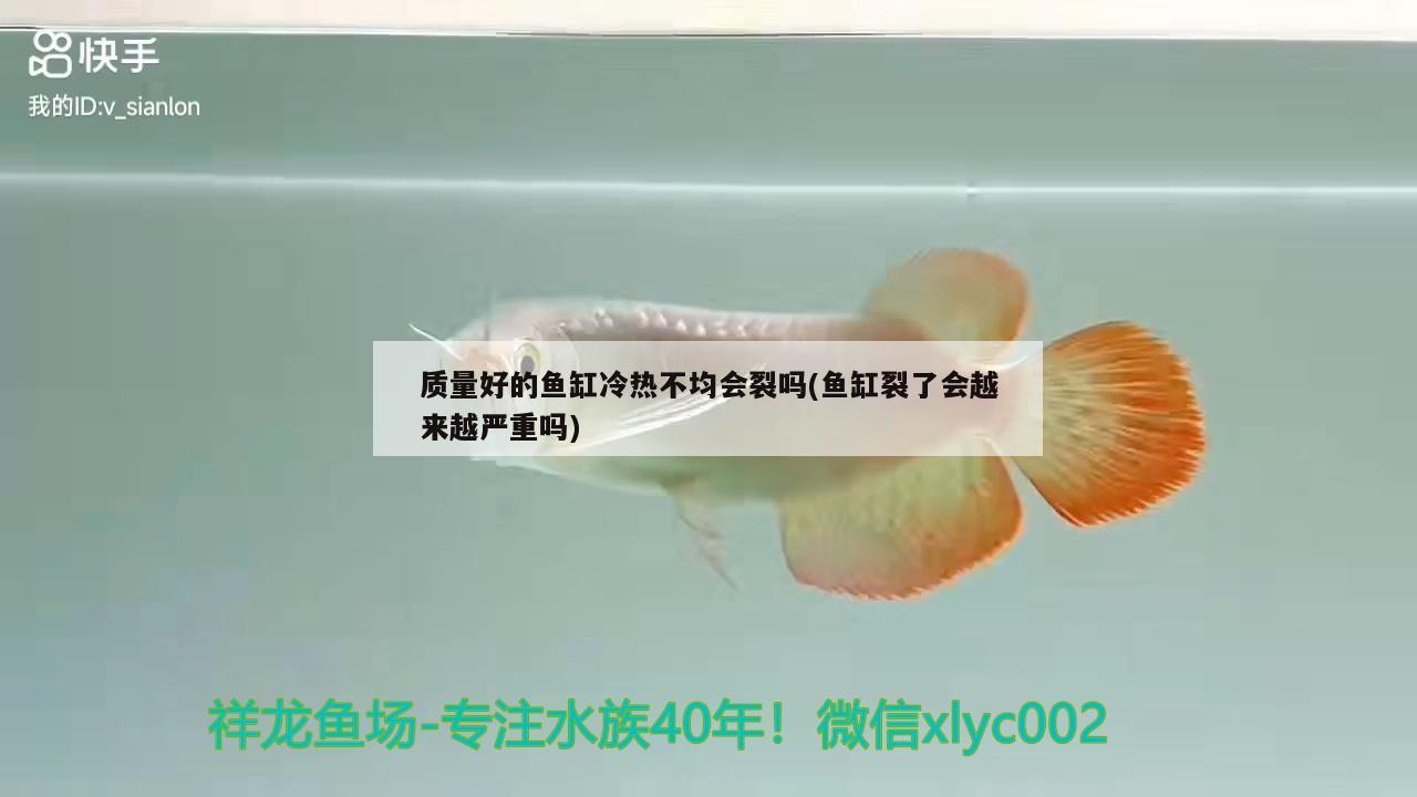 質(zhì)量好的魚缸冷熱不均會裂嗎(魚缸裂了會越來越嚴(yán)重嗎) 水族燈（魚缸燈）