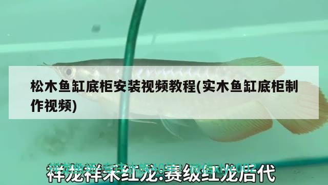 松木魚缸底柜安裝視頻教程(實木魚缸底柜制作視頻) ?；?異型虎魚/純色虎魚