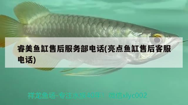 睿美魚缸售后服務(wù)部電話(亮點魚缸售后客服電話)