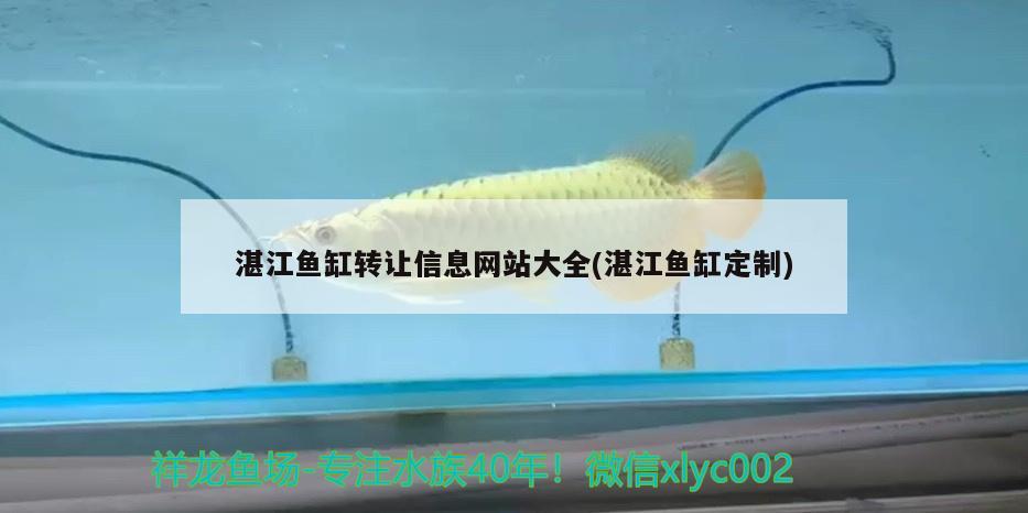 湛江魚缸轉(zhuǎn)讓信息網(wǎng)站大全(湛江魚缸定制)