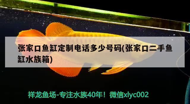 張家口魚缸定制電話多少號碼(張家口二手魚缸水族箱) 魚缸/水族箱 第1張