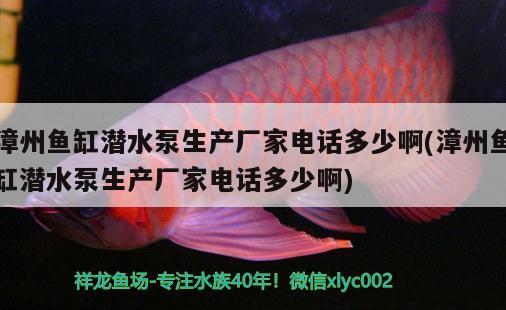 漳州魚缸潛水泵生產(chǎn)廠家電話多少啊(漳州魚缸潛水泵生產(chǎn)廠家電話多少啊)