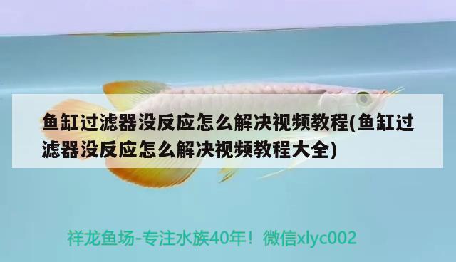 魚缸過濾器沒反應怎么解決視頻教程(魚缸過濾器沒反應怎么解決視頻教程大全) 溫控設備