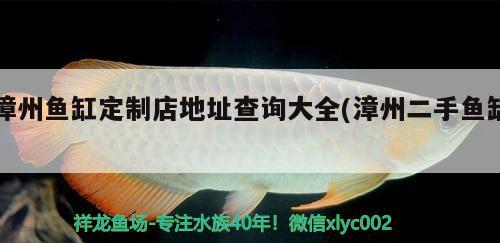 漳州魚缸定制店地址查詢大全(漳州二手魚缸) 巴卡雷龍魚