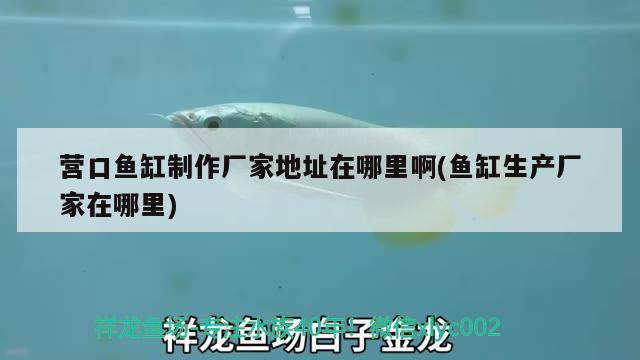 營口魚缸制作廠家地址在哪里啊(魚缸生產廠家在哪里) 薩伊藍魚