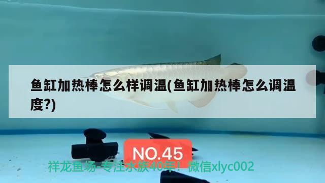 魚缸加熱棒怎么樣調(diào)溫(魚缸加熱棒怎么調(diào)溫度?)