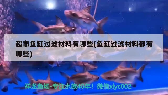 超市魚缸過濾材料有哪些(魚缸過濾材料都有哪些) 一眉道人魚