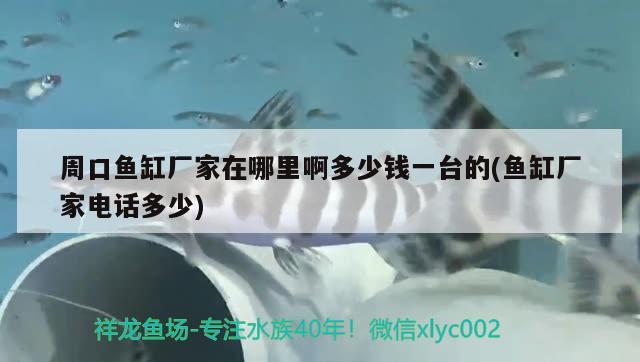 周口魚缸廠家在哪里啊多少錢一臺的(魚缸廠家電話多少) 白子銀龍魚苗