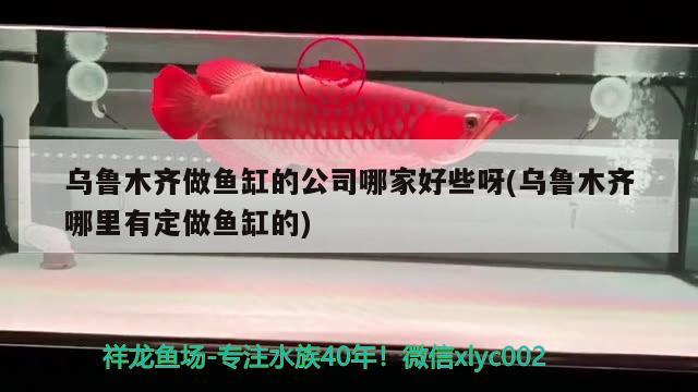 烏魯木齊做魚(yú)缸的公司哪家好些呀(烏魯木齊哪里有定做魚(yú)缸的) 魚(yú)缸百科