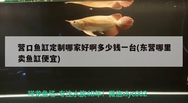 營口魚缸定制哪家好啊多少錢一臺(東營哪里賣魚缸便宜) 金龍魚糧