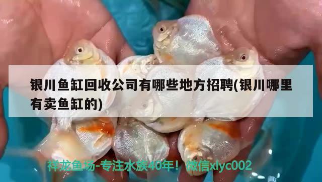 銀川魚缸回收公司有哪些地方招聘(銀川哪里有賣魚缸的)