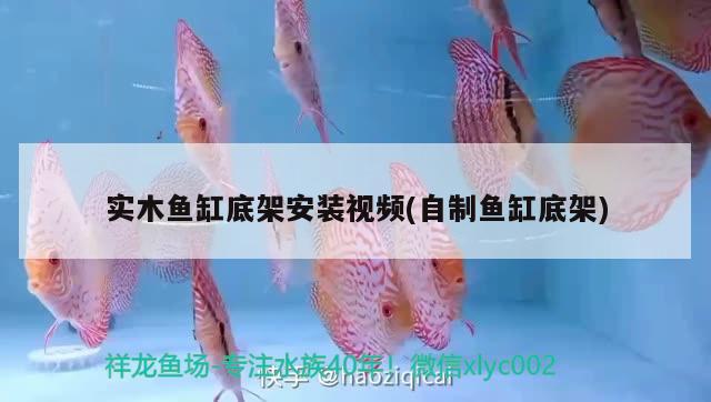 實(shí)木魚(yú)缸底架安裝視頻(自制魚(yú)缸底架)