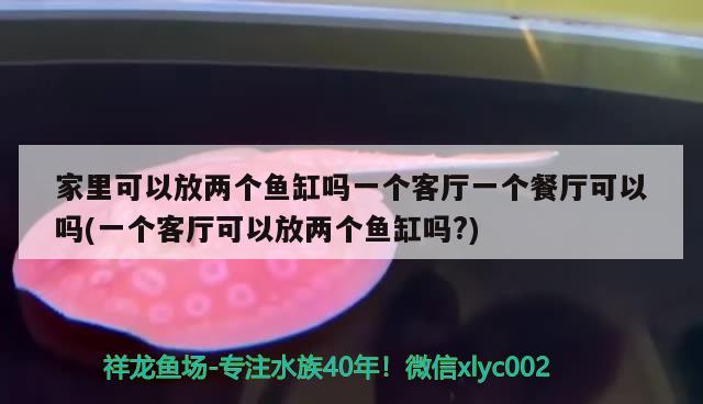 家里可以放兩個魚缸嗎一個客廳一個餐廳可以嗎(一個客廳可以放兩個魚缸嗎?) 斯維尼關(guān)刀魚