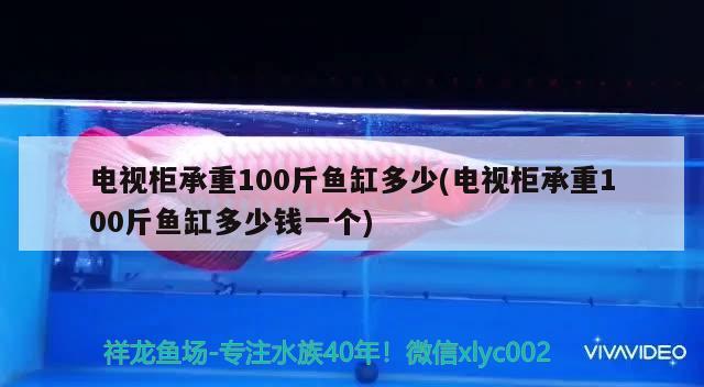 電視柜承重100斤魚缸多少(電視柜承重100斤魚缸多少錢一個) 白化火箭 第2張