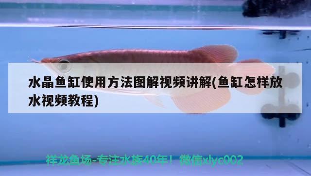 水晶魚缸使用方法圖解視頻講解(魚缸怎樣放水視頻教程)