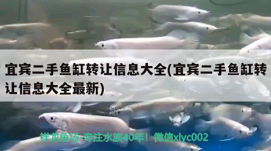 宜賓二手魚缸轉(zhuǎn)讓信息大全(宜賓二手魚缸轉(zhuǎn)讓信息大全最新) 紅頭利魚