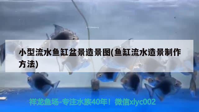 小型流水魚缸盆景造景圖(魚缸流水造景制作方法)