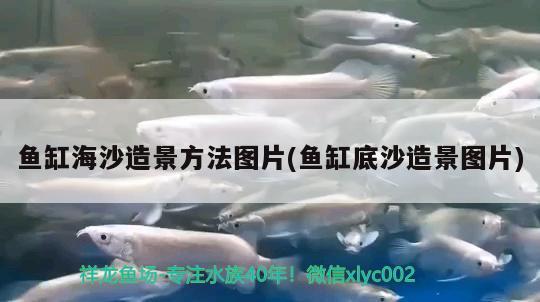 魚缸海沙造景方法圖片(魚缸底沙造景圖片) 祥龍傳奇品牌魚缸