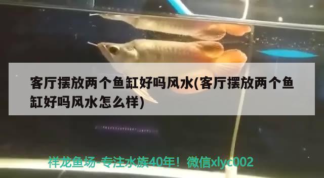 客廳擺放兩個魚缸好嗎風水(客廳擺放兩個魚缸好嗎風水怎么樣)