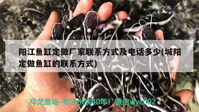 陽江魚缸定做廠家聯(lián)系方式及電話多少(城陽定做魚缸的聯(lián)系方式) 魚缸清潔用具