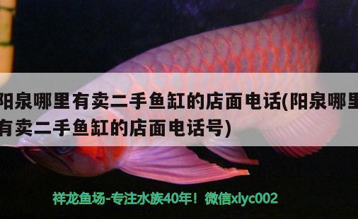 陽泉哪里有賣二手魚缸的店面電話(陽泉哪里有賣二手魚缸的店面電話號)