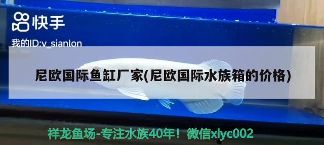 尼歐國際魚缸廠家(尼歐國際水族箱的價格)