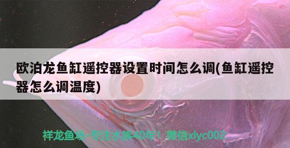 歐泊龍魚缸遙控器設(shè)置時間怎么調(diào)(魚缸遙控器怎么調(diào)溫度)